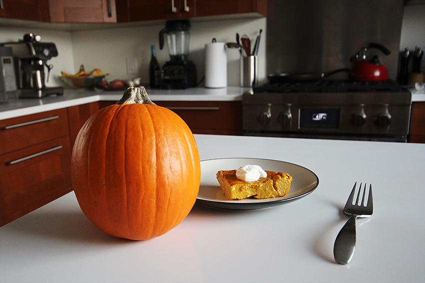 pumpkin-protein-pie1
